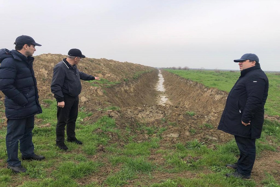Закладка виноградников на площади 600 га планируется в Дербентском районе в рамках инвестпроектов